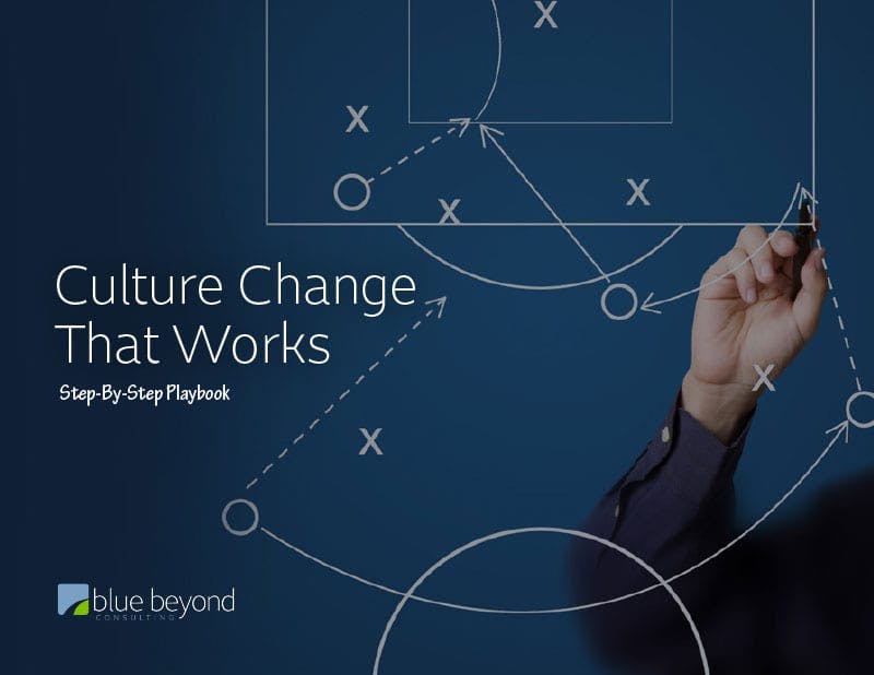 organizational culture change playbook